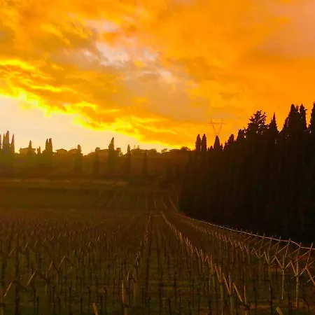 Boccadibacco Bed & Breakfast San Pietro in Cariano